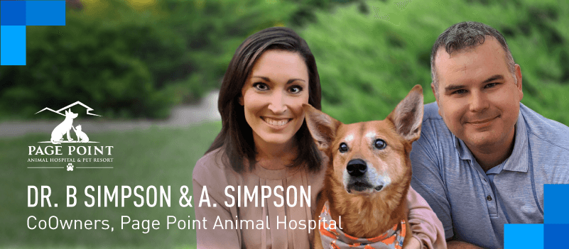 View post: Animal Hospital and Pet Resort Sets New Standards with Customer Experience Using Intermedia Unite.